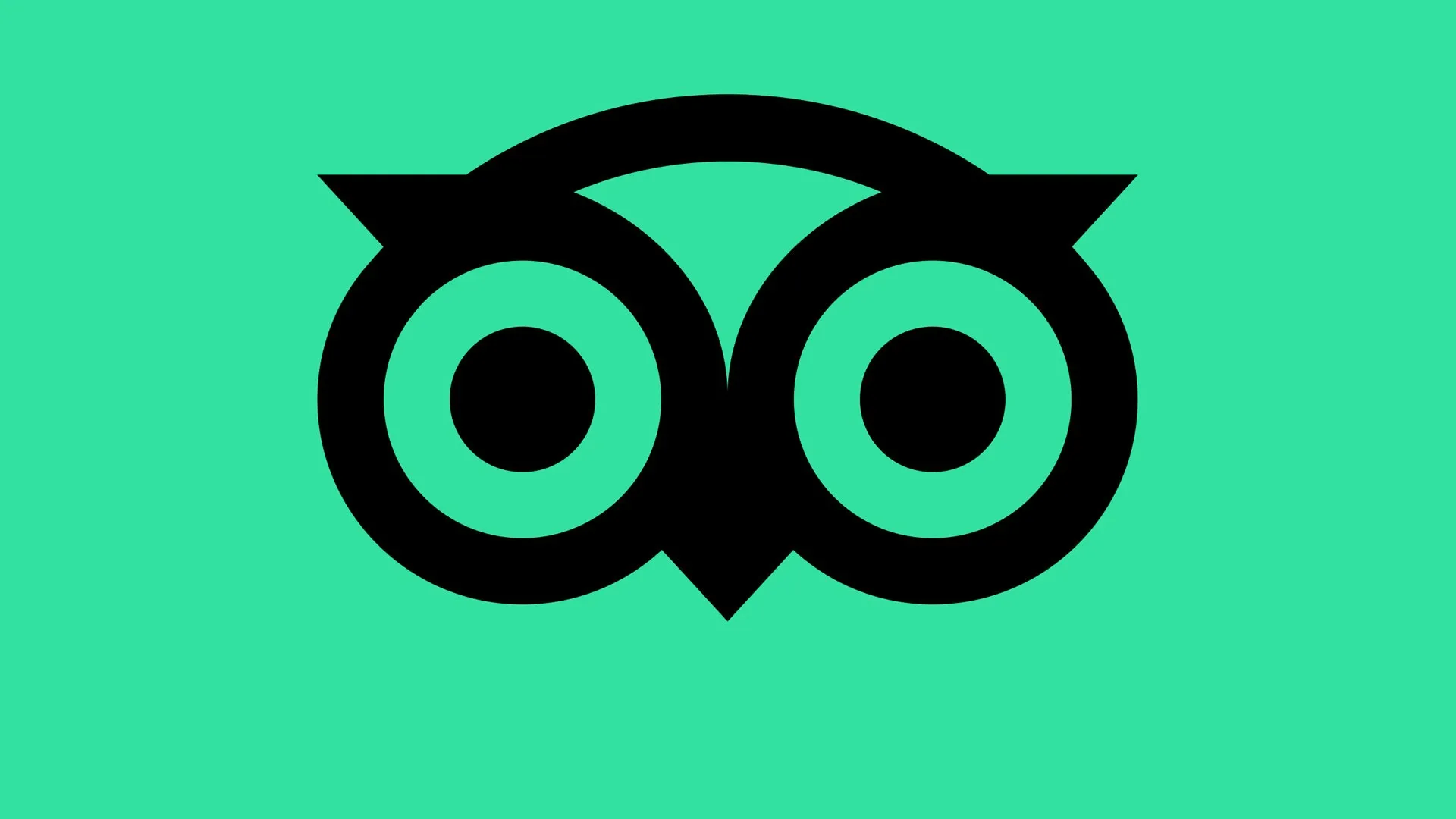 tripadvisor-reveals
