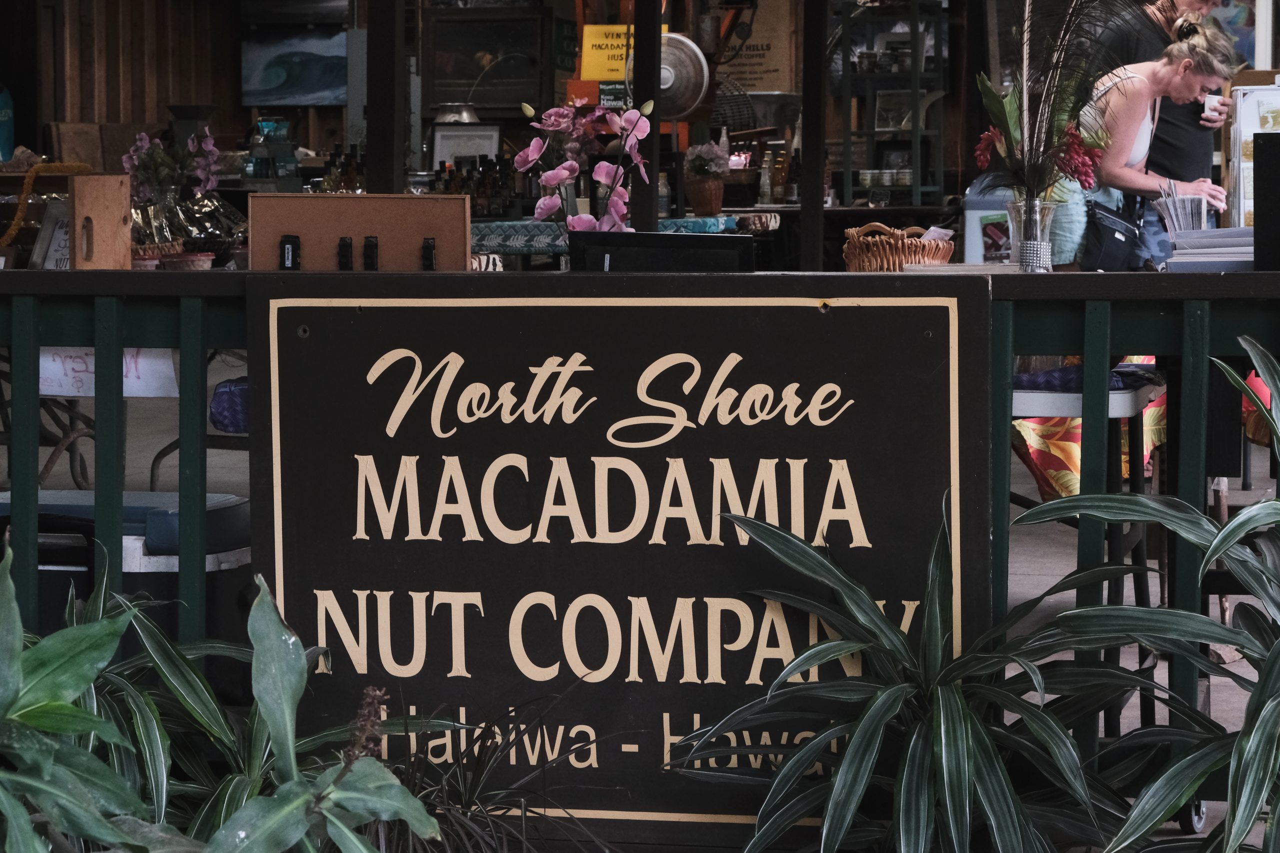 North Shore Macadamia Nut Farm