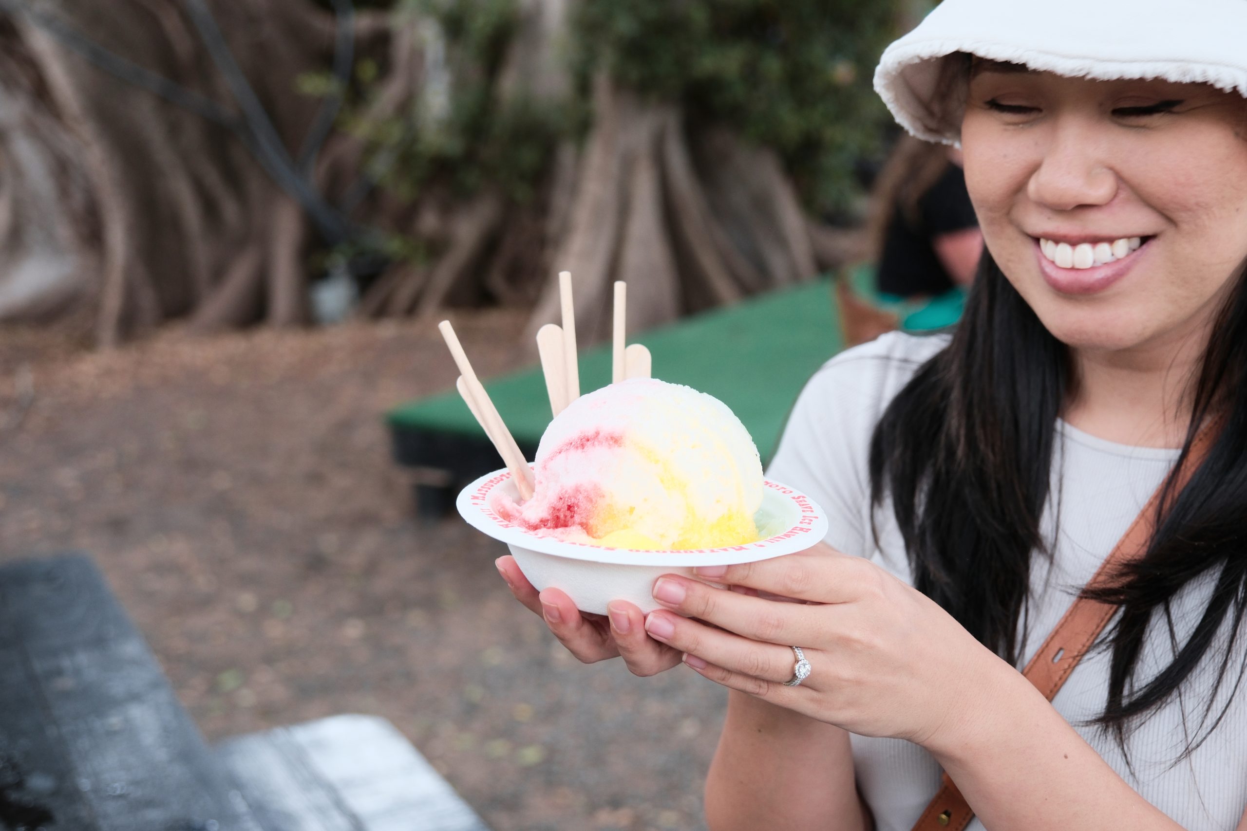 Historic Haleiwa Town