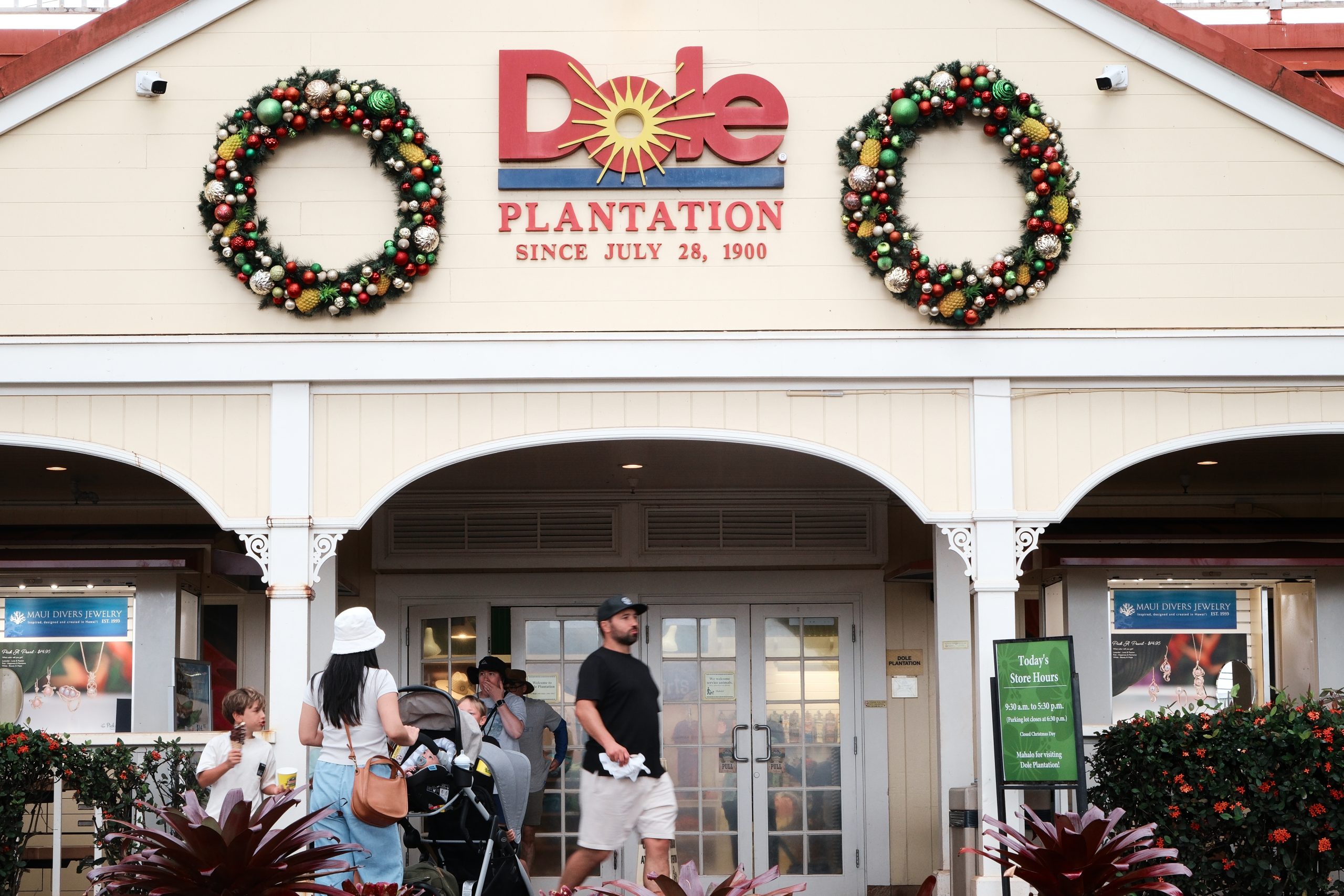 Dole Plantation